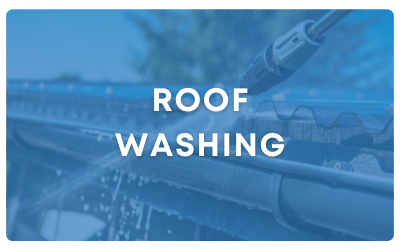 Roof Washing